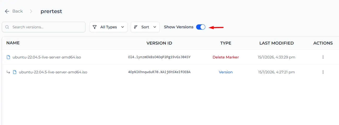 Show Versions turned on, listing a Delete Marker above the file's previous version
