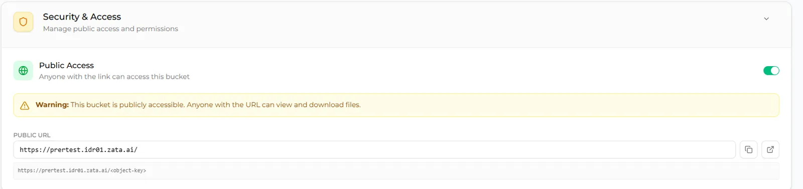 Security and Access with Public Access turned on, the public warning and the Public URL box