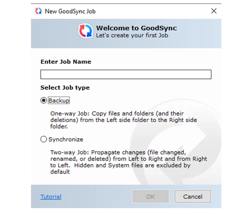 New GoodSync Job window with the job name and the Backup and Synchronize job types