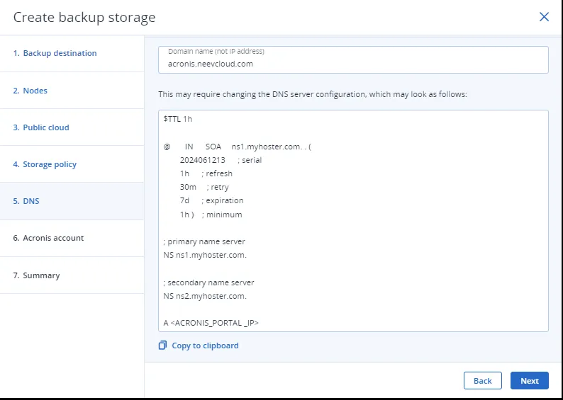 DNS step with the domain name field and an example DNS zone